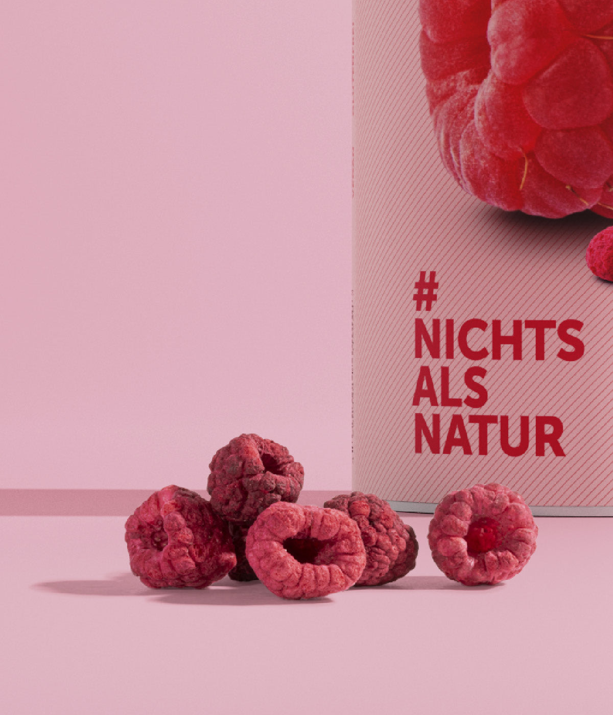 Anhaeufung gefriergetrockneter Himbeeren vor einer Dose buah Himbeeren