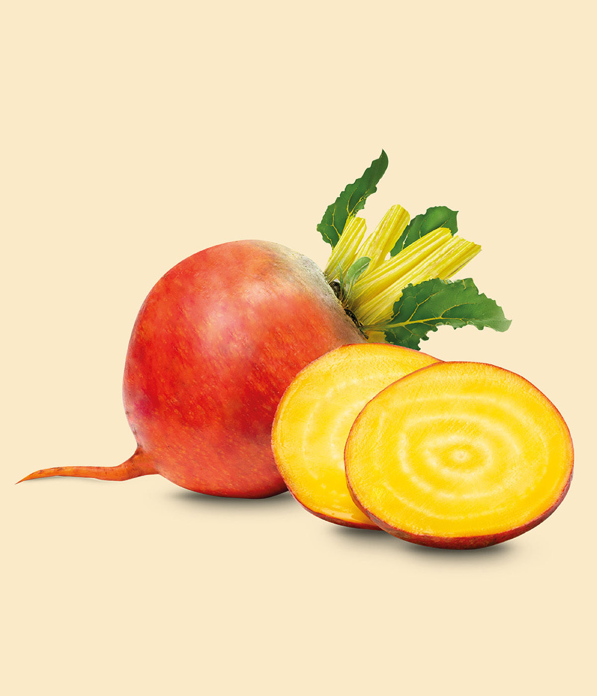 Frische Gelbe Bete Knolle neben einer in Scheiben aufgeschnittener satt gelben Bete