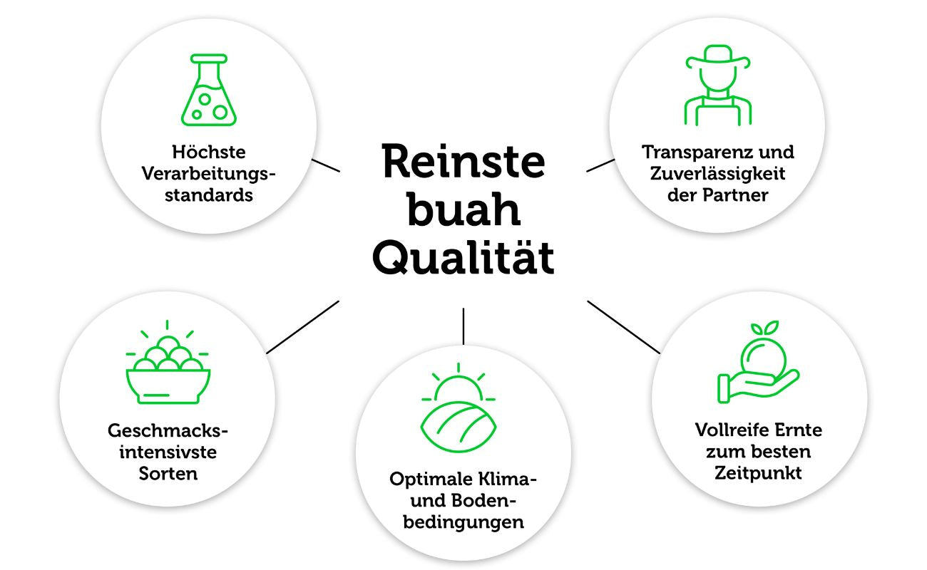 Grafik auf weissem Hintergrund mit 'Reinste buah Qualität' als Mittelpunkt und 5 Bullet Points sternförmig darum angeordnet, mit Icons