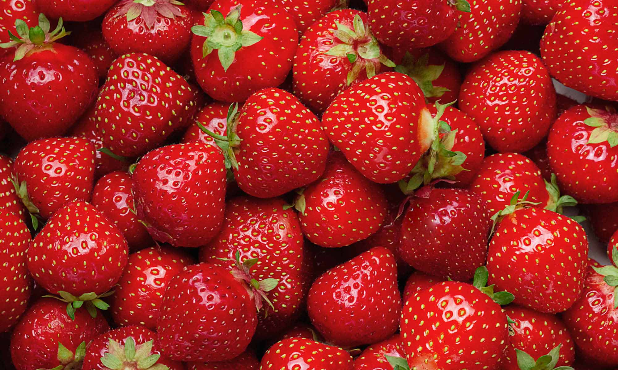 Viele frische, dunkelrote und reife Erdbeeren auf und nebeneinander 