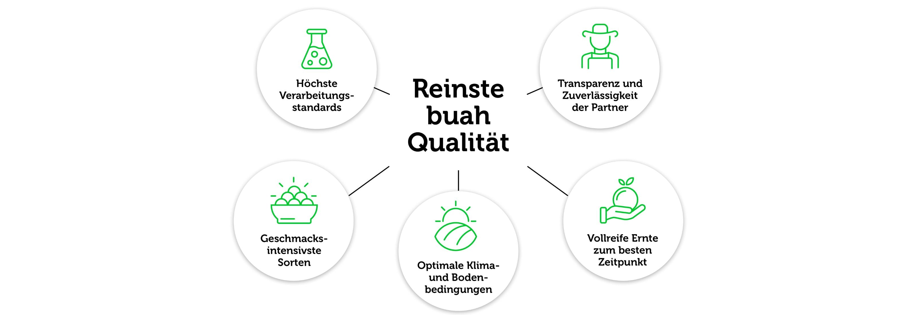 Grafik auf weissem Hintergrund mit 'Reinste buah Qualität' als Mittelpunkt und 5 Bullet Points sternförmig darum angeordnet, mit Icons